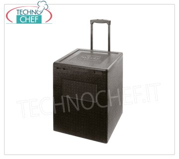 Conteneur isotherme en polypropylène TROLLEYBOX, dim.mm.420x420x600h