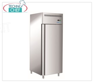 Forcold - Armoire Congélateur-Congélateur, Temp-18°/-22°C, Classe E, mod.G-GN650BT-FC
