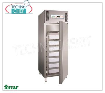 Forcar - Armoire frigorifique pour poisson frais, lt.507, statique, température -5 ° / + 2 ° C, classe D, modèle G-GN600FISH