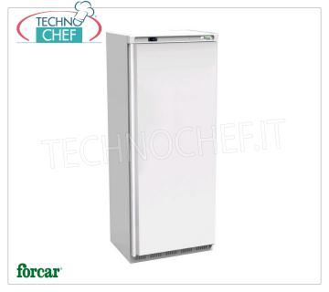 Forcar - Armoire Congélateur-Congélateur, lt.641, Ventilée, Temp.-18°/-22°C, Classe C, mod.G-EF700 Armoire Congélateur-Congélateur 1 Porte, Professionnel, lt.641, Temp.-18°/-22°C, Ventilé, ÉCOLOGIQUE en Classe C, GAZ R290, V.230/1, Kw.0,55, Poids 113 Kg, dim.mm.777x730x1895h